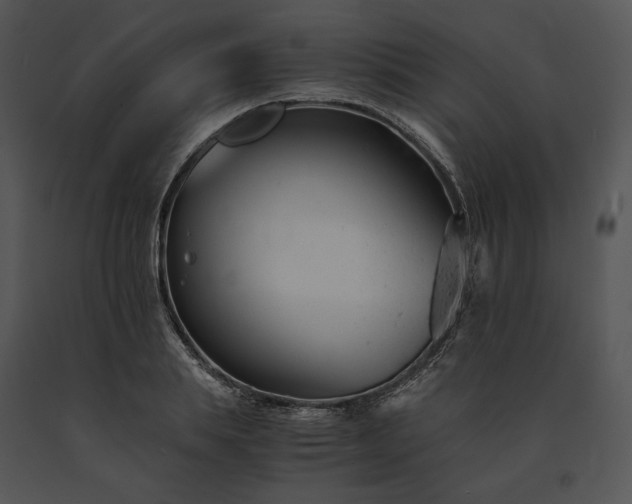 X0000091660839200708301437