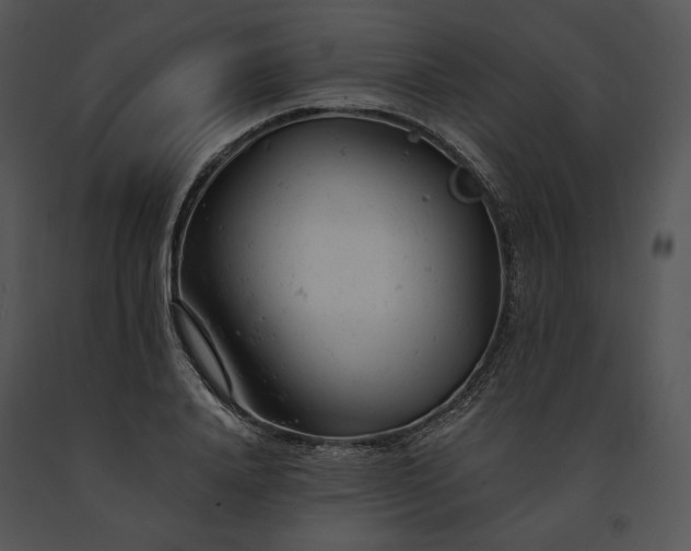 X0000091660840200708301437