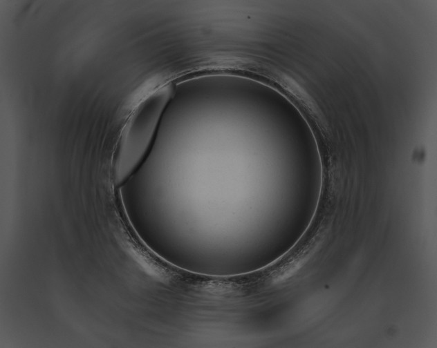 X0000091660842200708301437