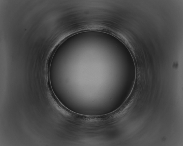 X0000091660843200708301437