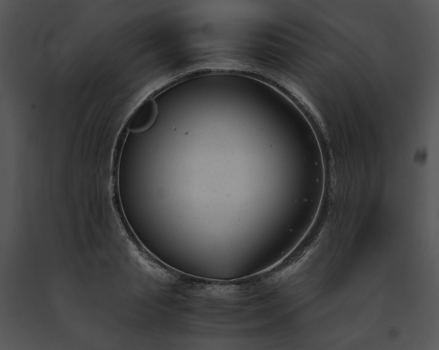 X0000091660845200708301437