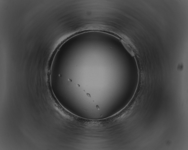 X0000091660846200708301437