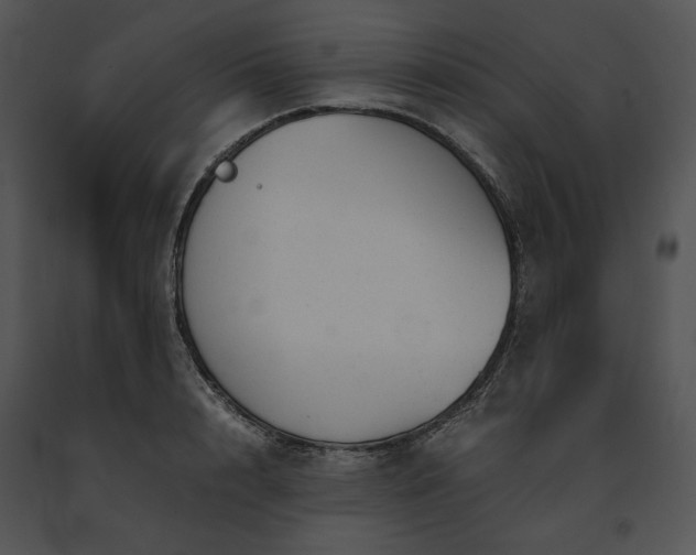 X0000091660848200708301437