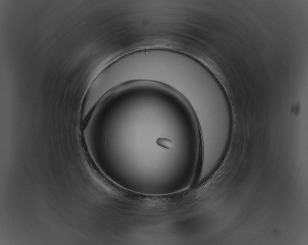 X0000091660850200708301437