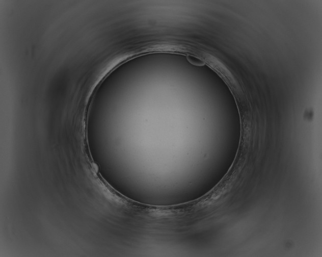 X0000091660852200708301437
