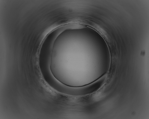 X0000091660854200708301437