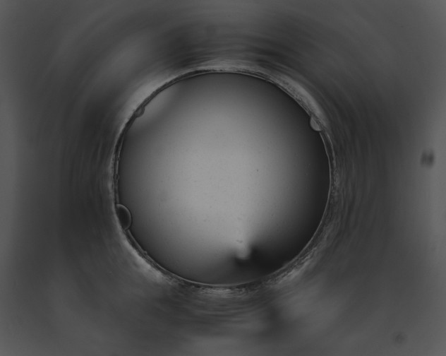 X0000091660855200708301437