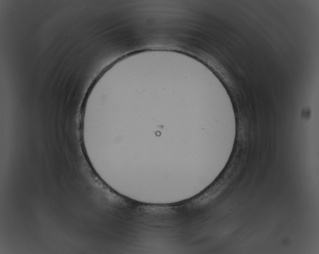 X0000091660856200708301437