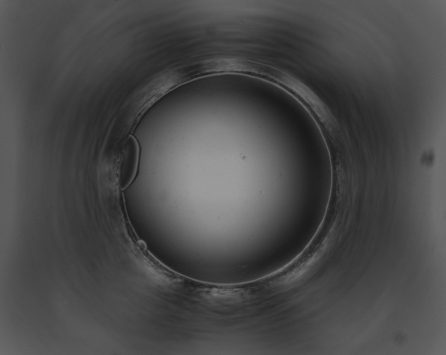 X0000091660857200708301437