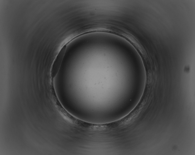 X0000091660858200708301437