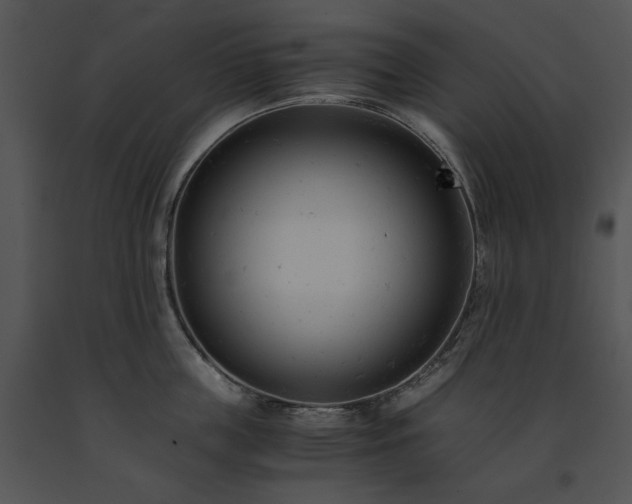 X0000091660859200708301437