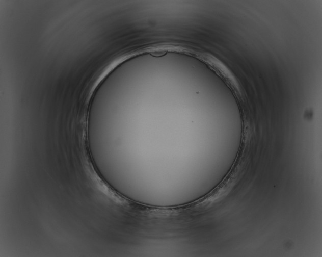 X0000091660860200708301437