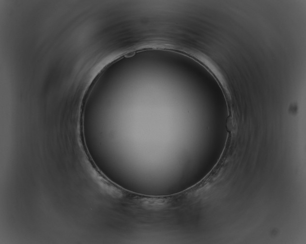 X0000091660861200708301437