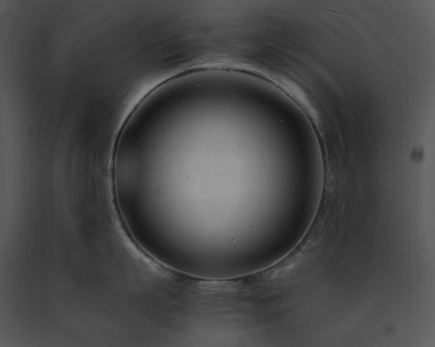 X0000091660863200708301437