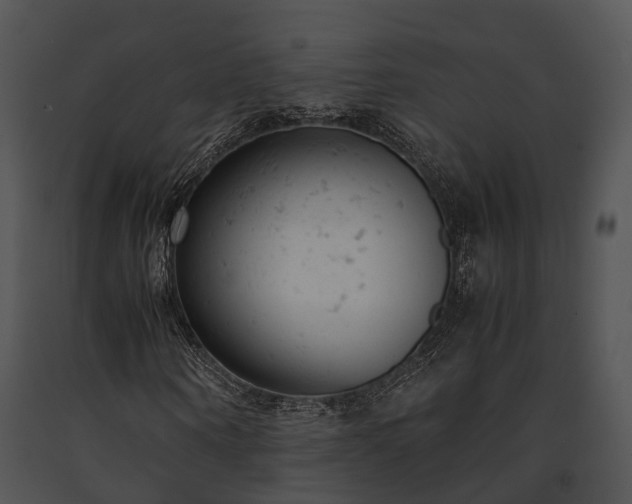X0000091660866200708301437