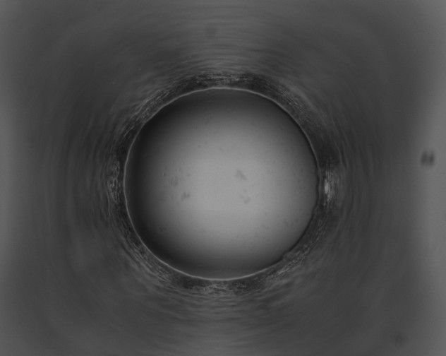 X0000091660867200708301437
