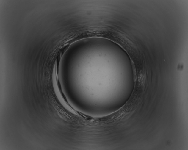 X0000091660868200708301437