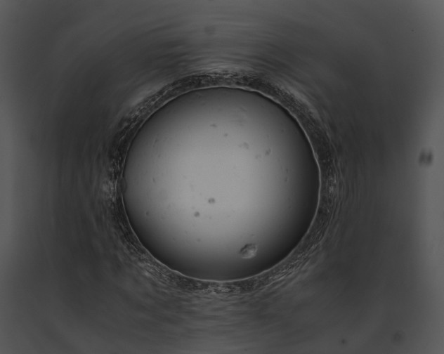 X0000091660869200708301437