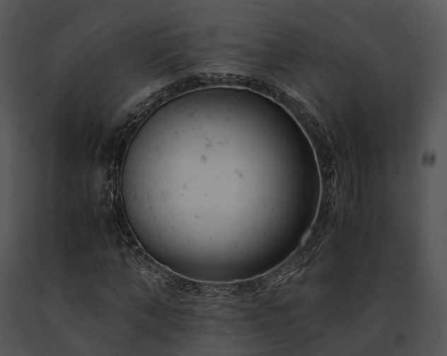 X0000091660870200708301437