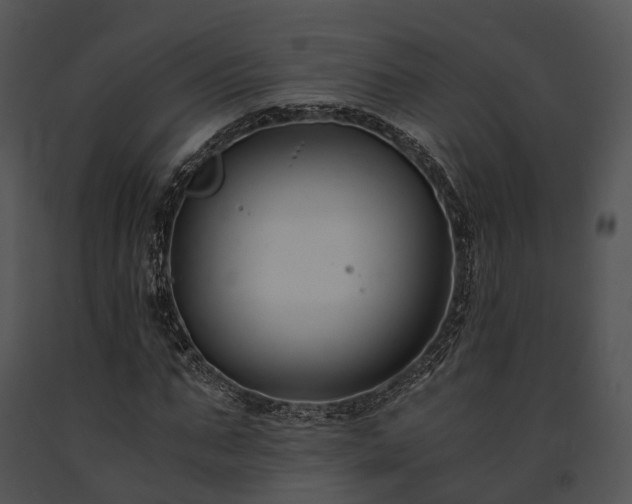 X0000091660871200708301437