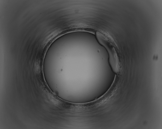 X0000091660873200708301437