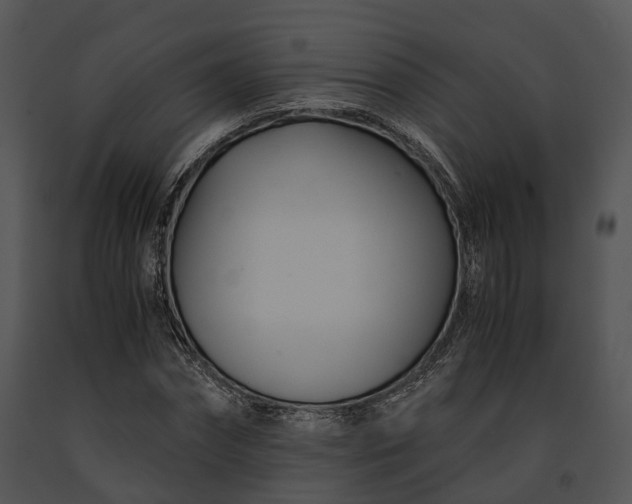 X0000091660874200708301437