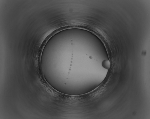 X0000091660875200708301437