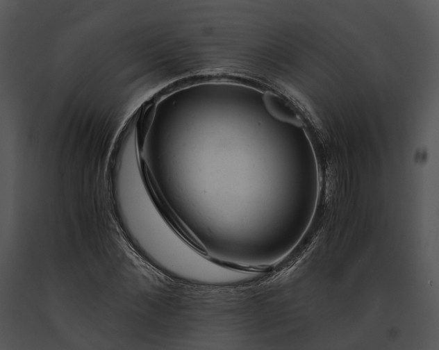 X0000091660876200708301437