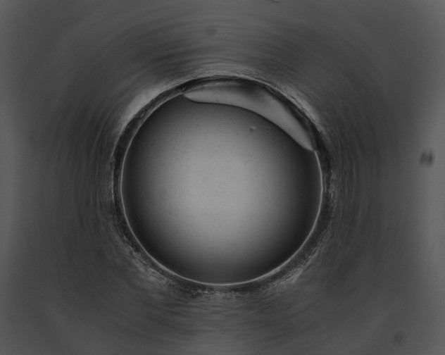 X0000091660877200708301437