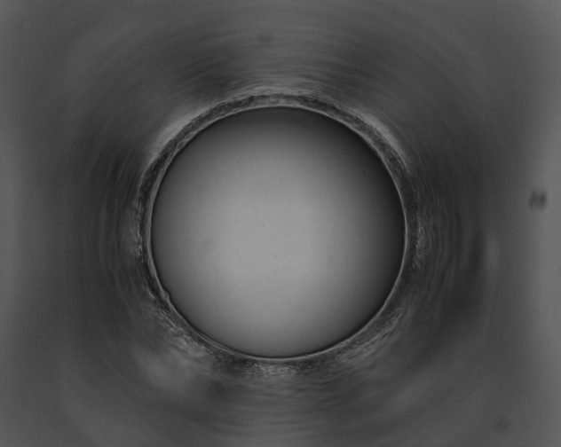 X0000091660878200708301437