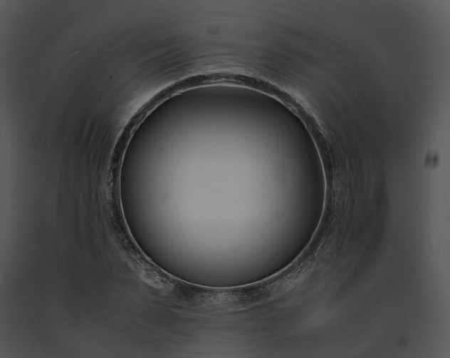 X0000091660879200708301437