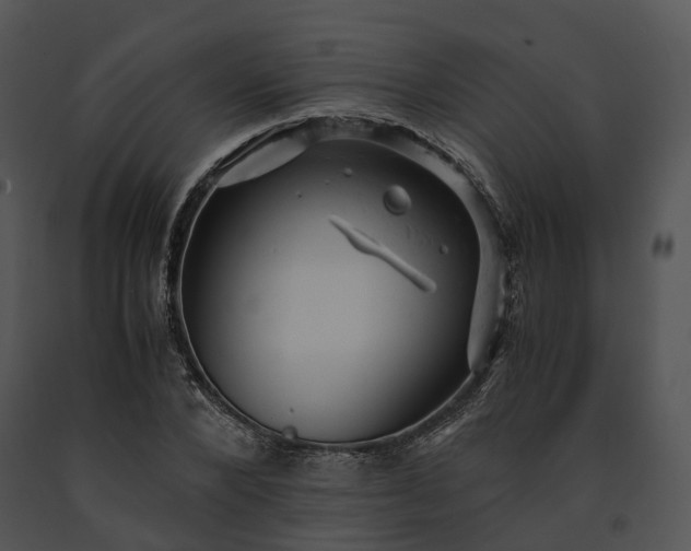X0000091660880200708301437