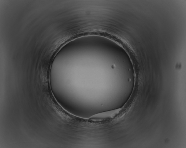 X0000091660881200708301437