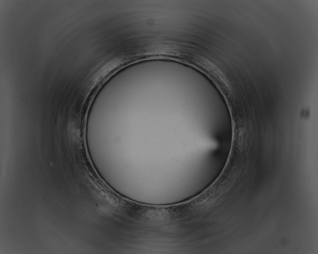 X0000091660882200708301437