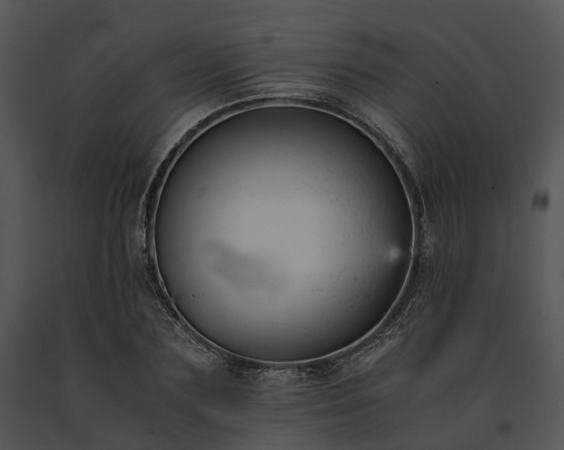 X0000091660883200708301437