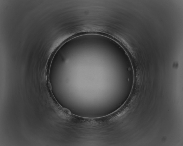X0000091660885200708301437
