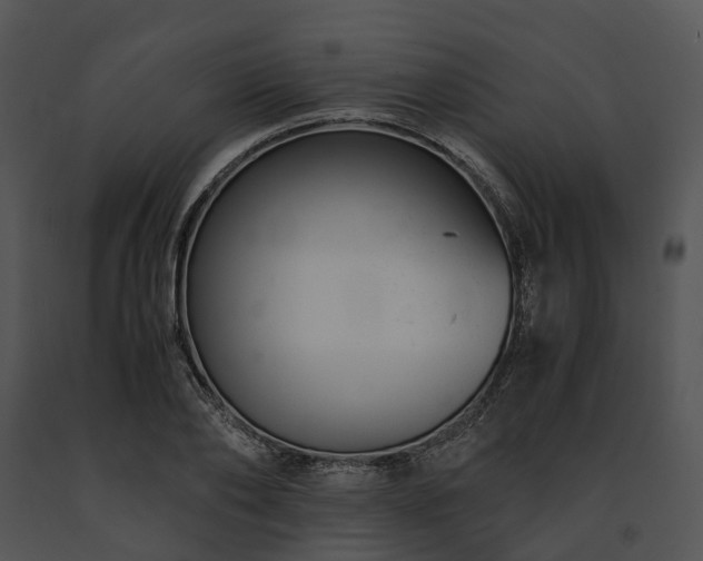 X0000091660886200708301437