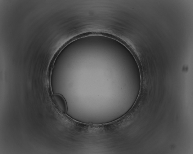 X0000091660887200708301437