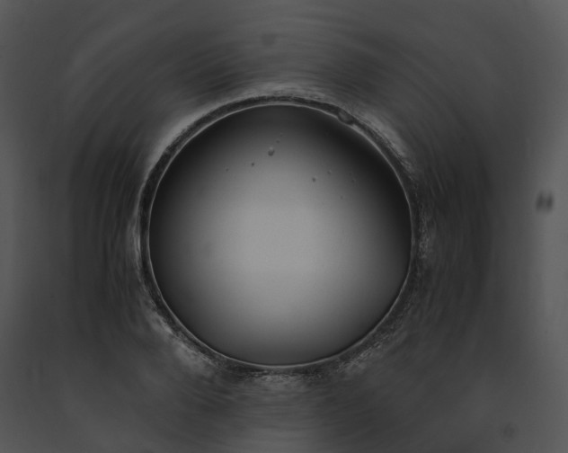 X0000091660888200708301437