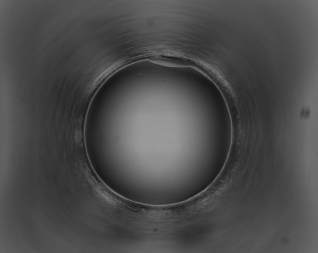 X0000091660889200708301436