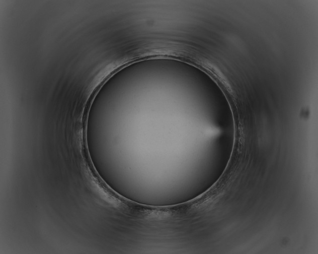 X0000091660890200708301436