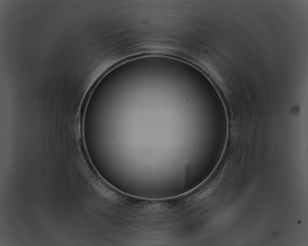X0000091660891200708301436