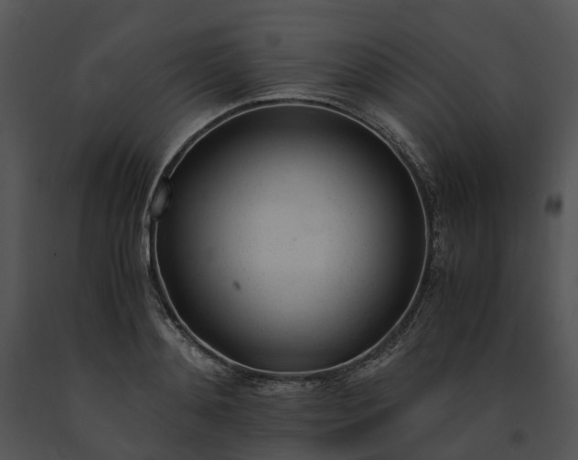 X0000091660892200708301436