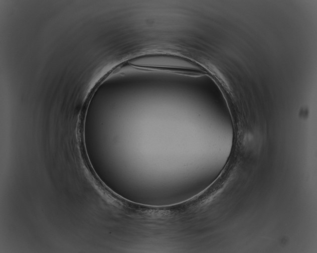 X0000091660893200708301436