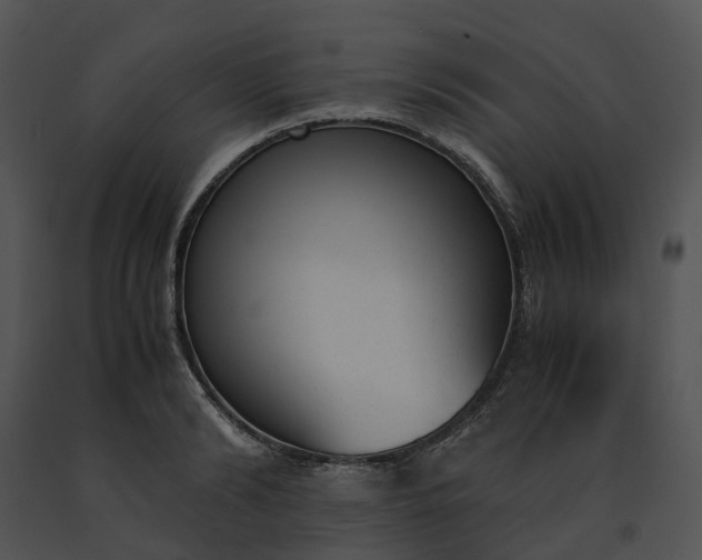 X0000091660894200708301436