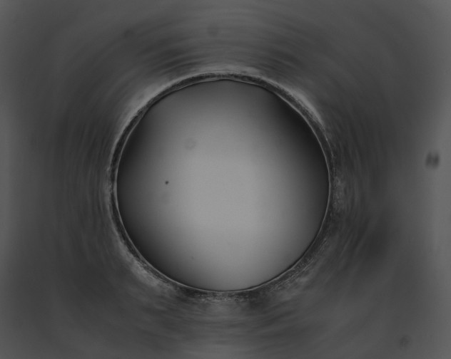 X0000091660895200708301436
