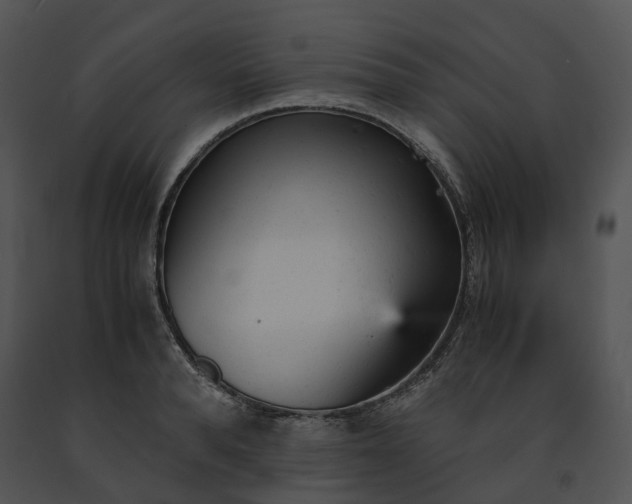 X0000091660896200708301436