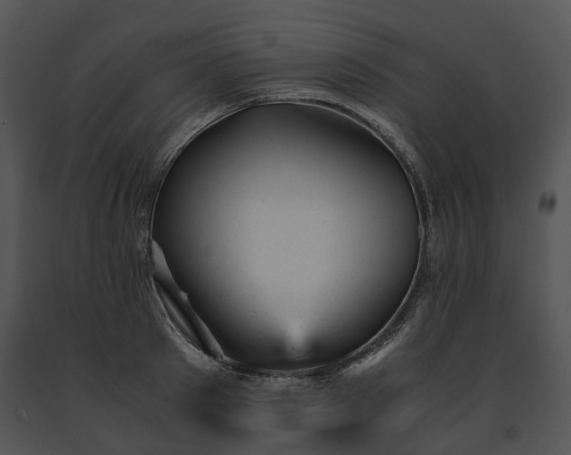 X0000091660897200708301436