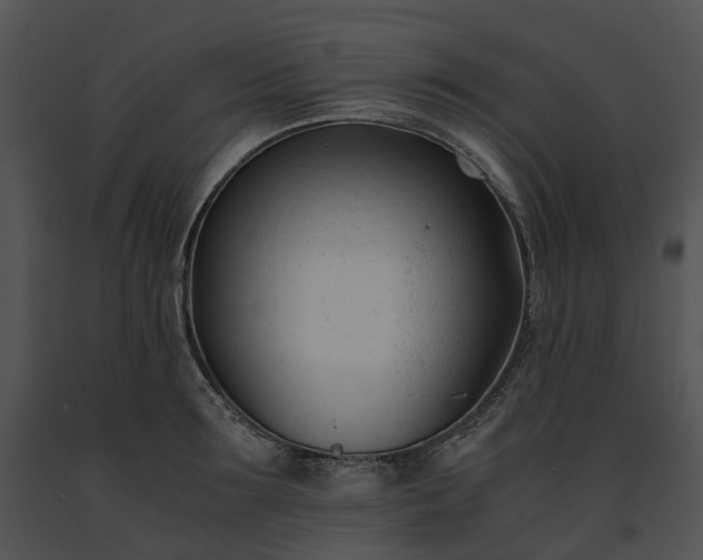 X0000091660899200708301436