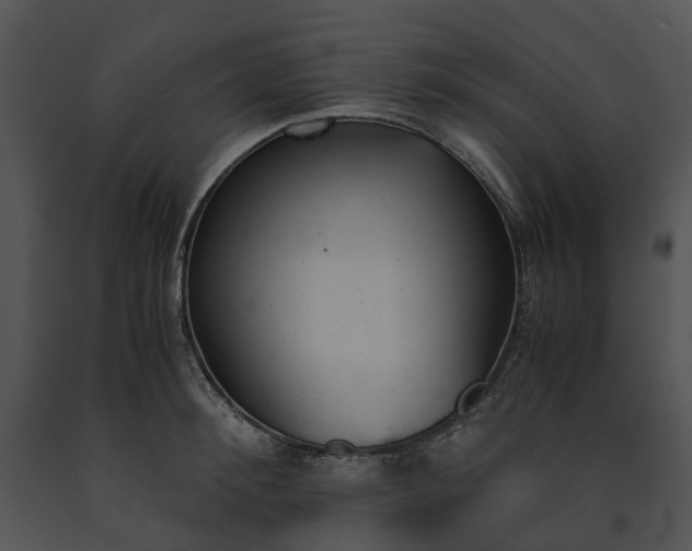 X0000091660900200708301436